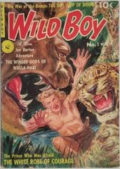 Wild Boy